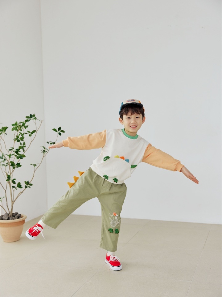 Dinosaur Pocket Sweatshirt