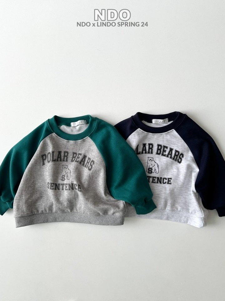 Polar Color Sweatshirt