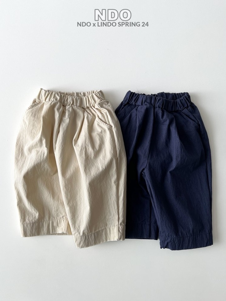 Wide Pleated Pants
