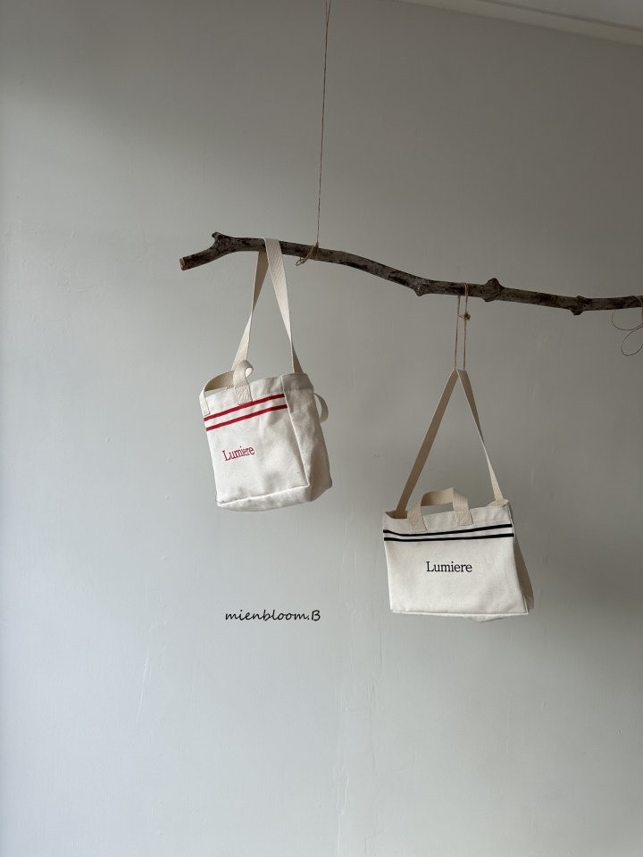Lumiere Bag