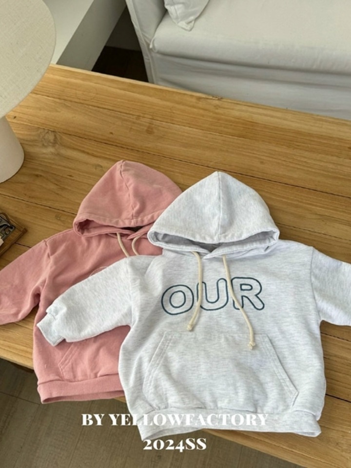 Our Hoody Sweatshirt