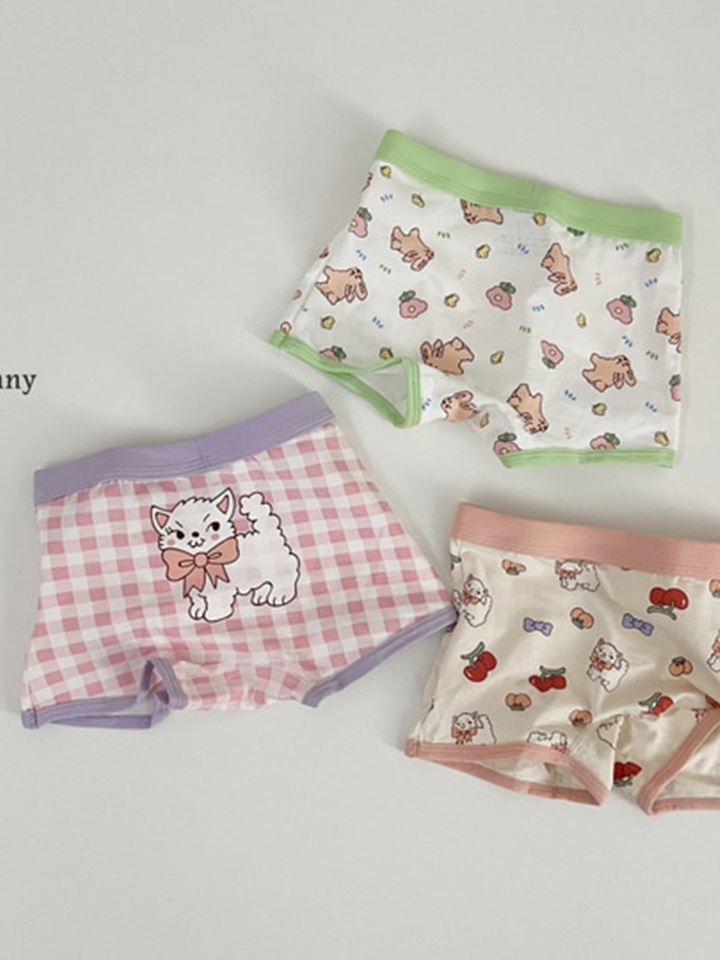 Ribbon Rabbit Underwear