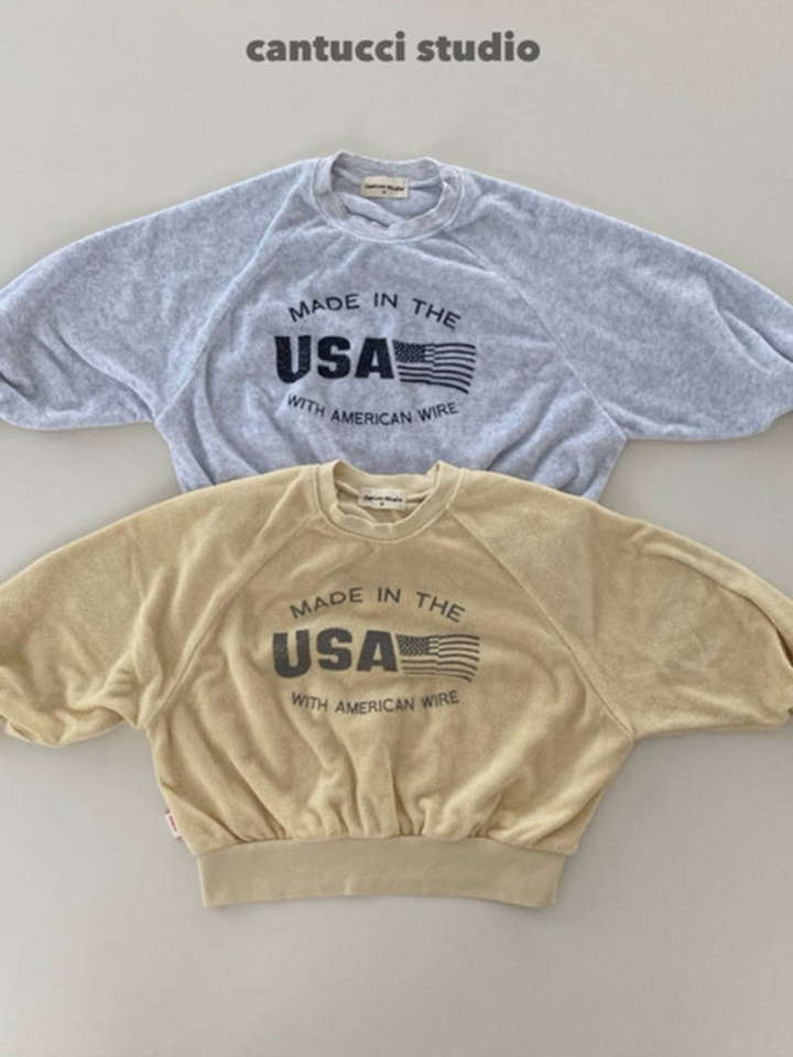 Usa Teryy Sweatshirt