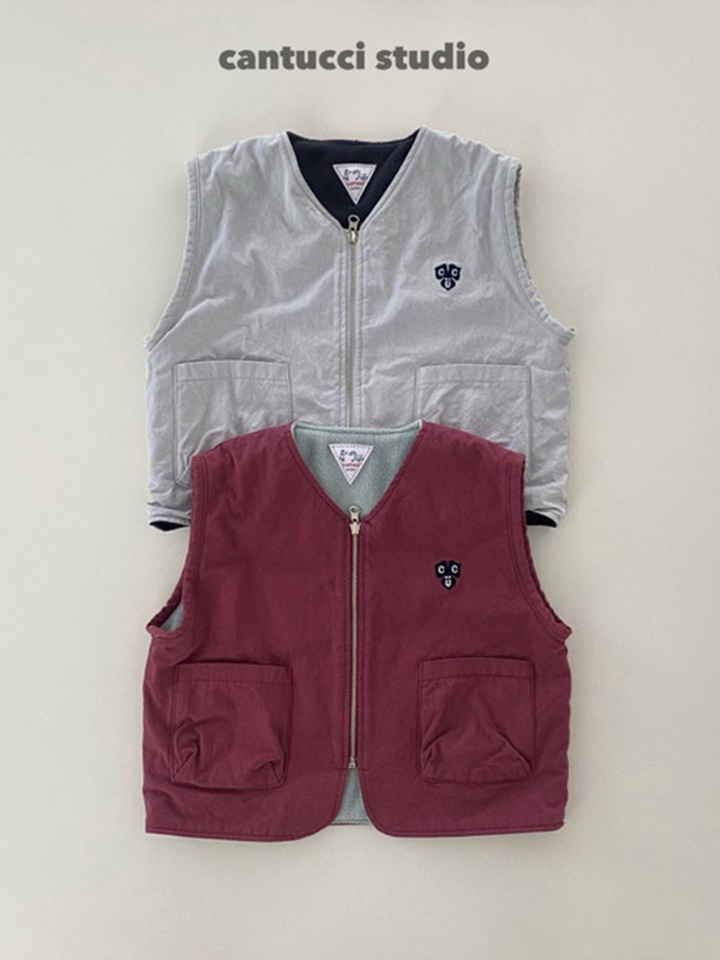Dino Reversible Vest