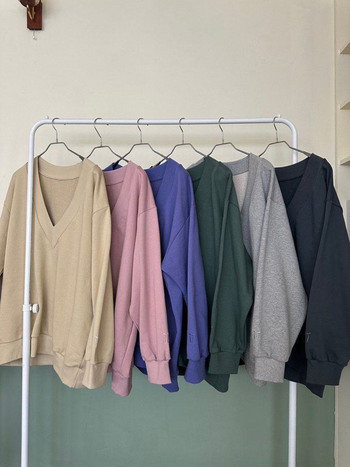 Ribbon Embroidery V-neck Sweatshirt