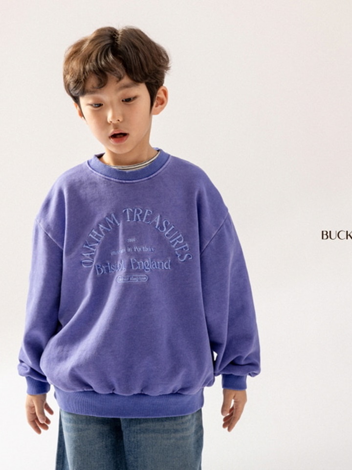 Pig Embroidery Sweatshirt