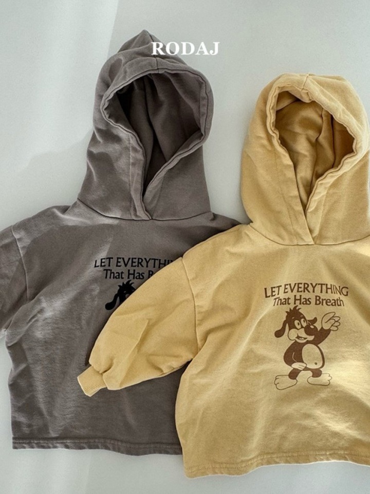 Has Hoody