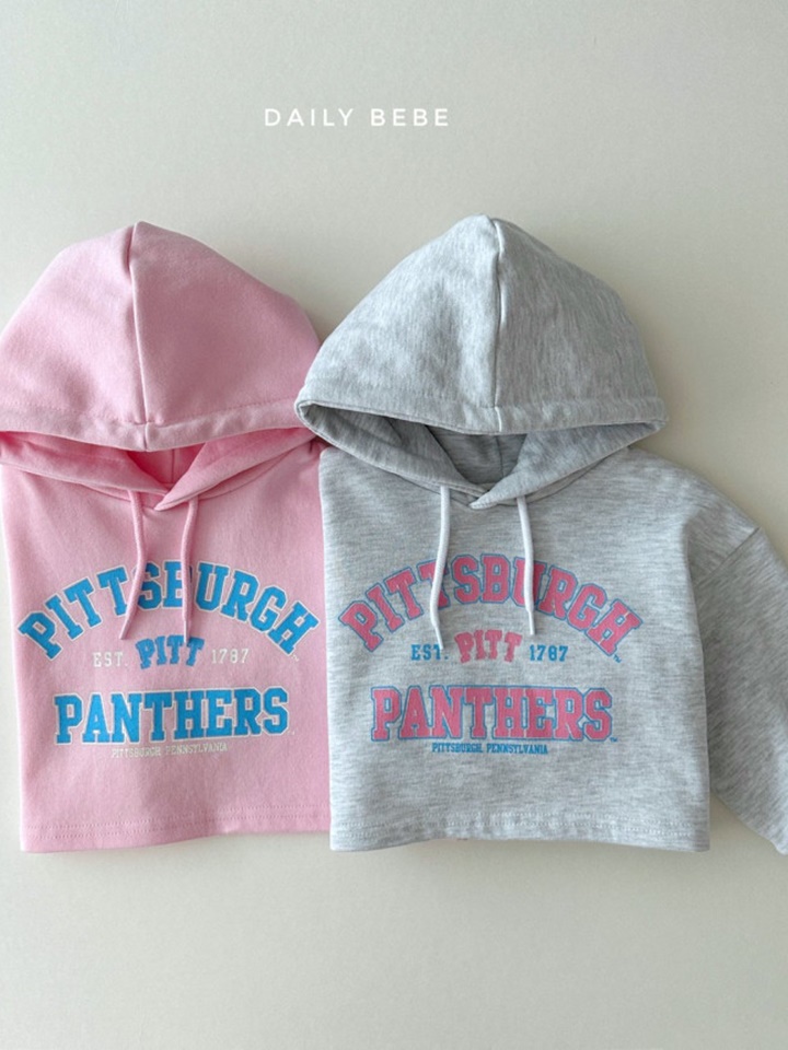 Pittsburgher Hoody Tee