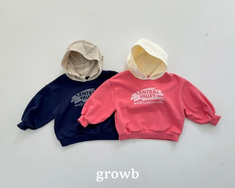 Grow B - Korean Children Fashion - #childrensboutique - After Hoody 