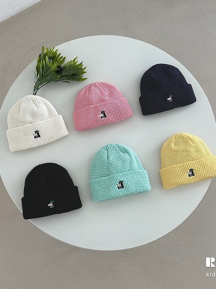 Ttori Waffle Beanie