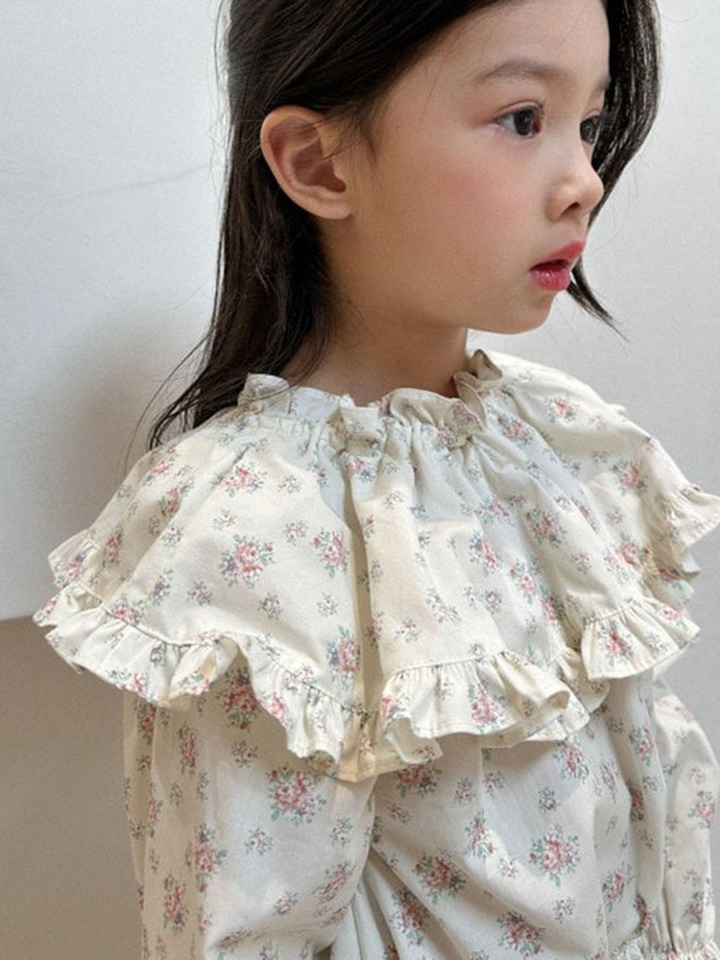 Rose Cape Blouse