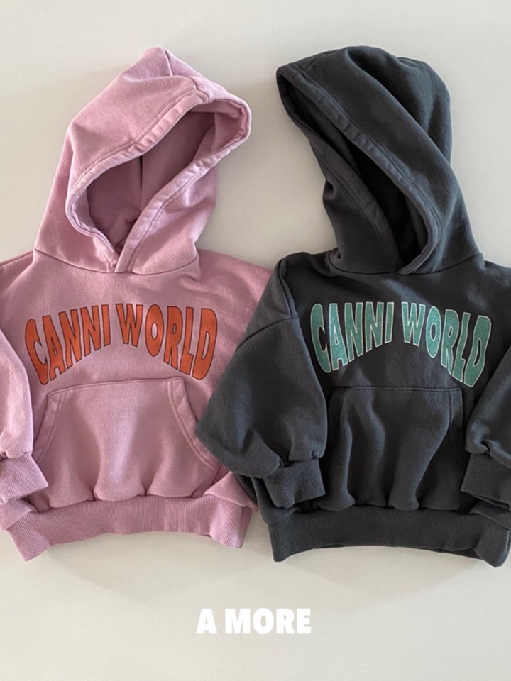 World Hoody