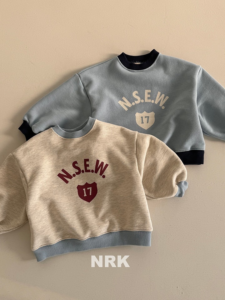 Color Sweatshirt