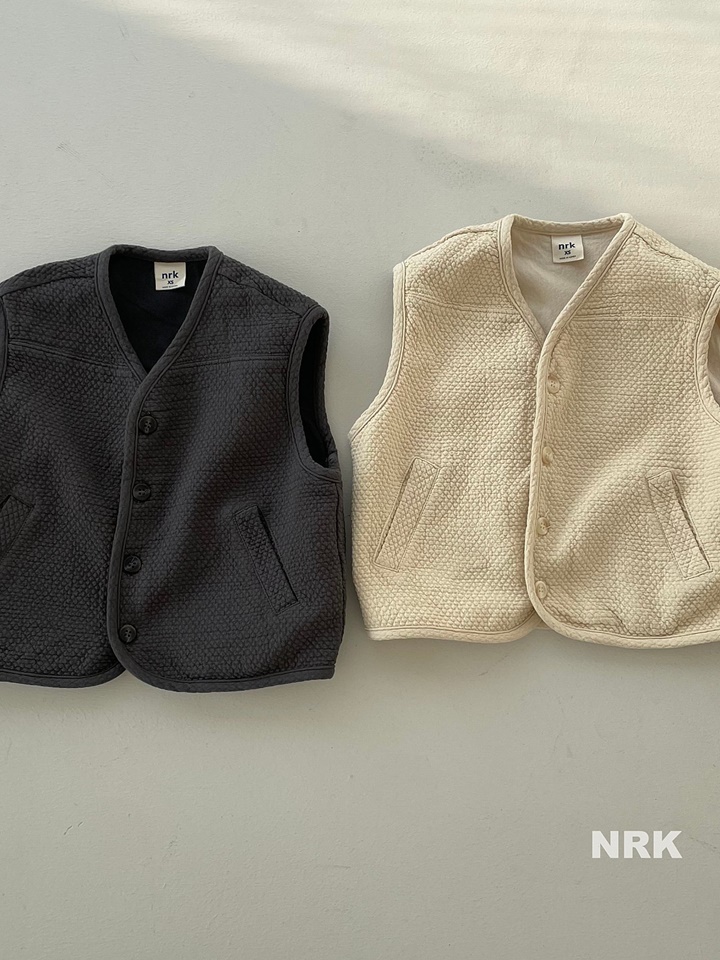 Travel Vest
