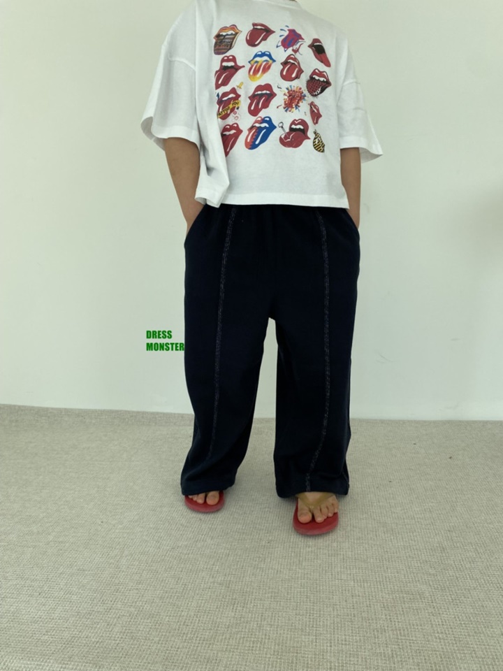 Needles Pants