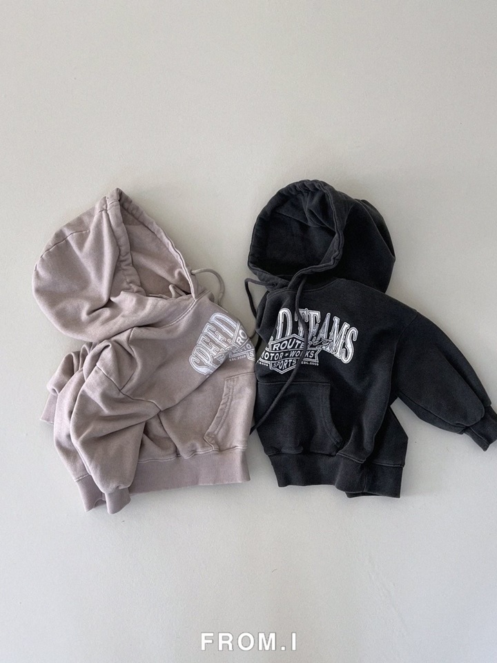 Speed Team Hoody