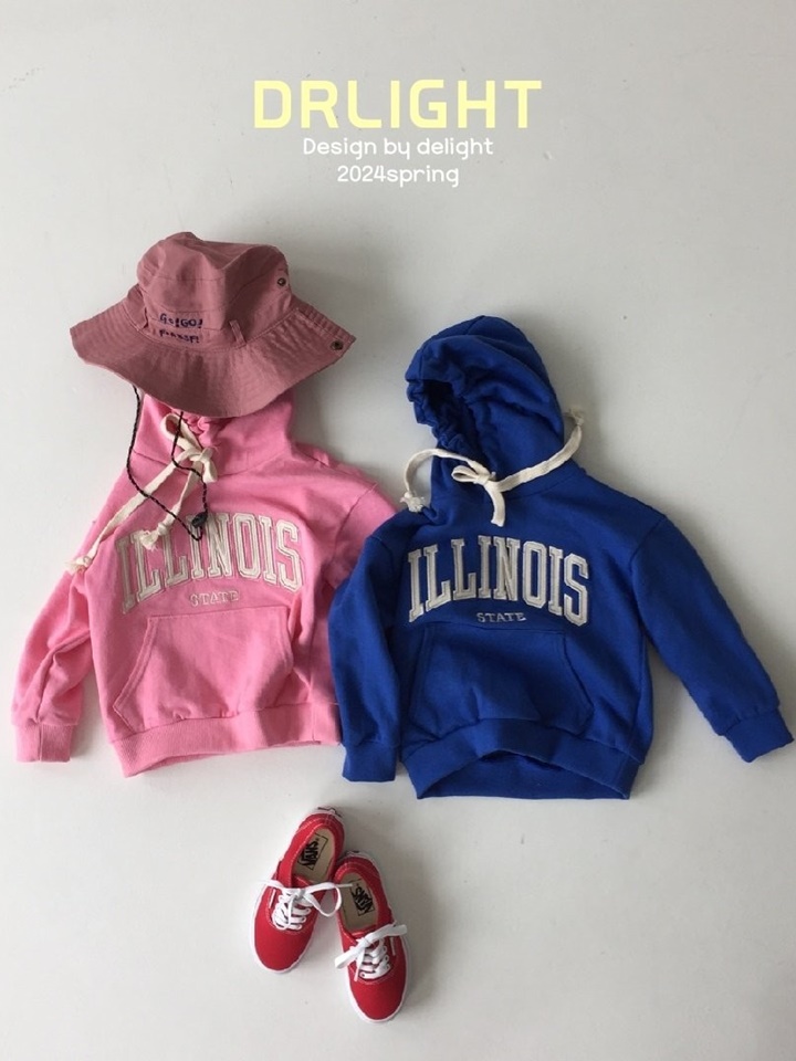 Illinois Embroidery Hoody