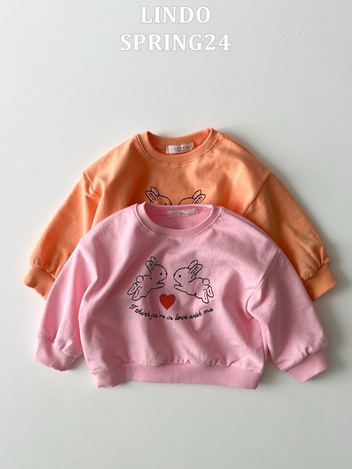 Tu Tu Rabbit Sweatshirt