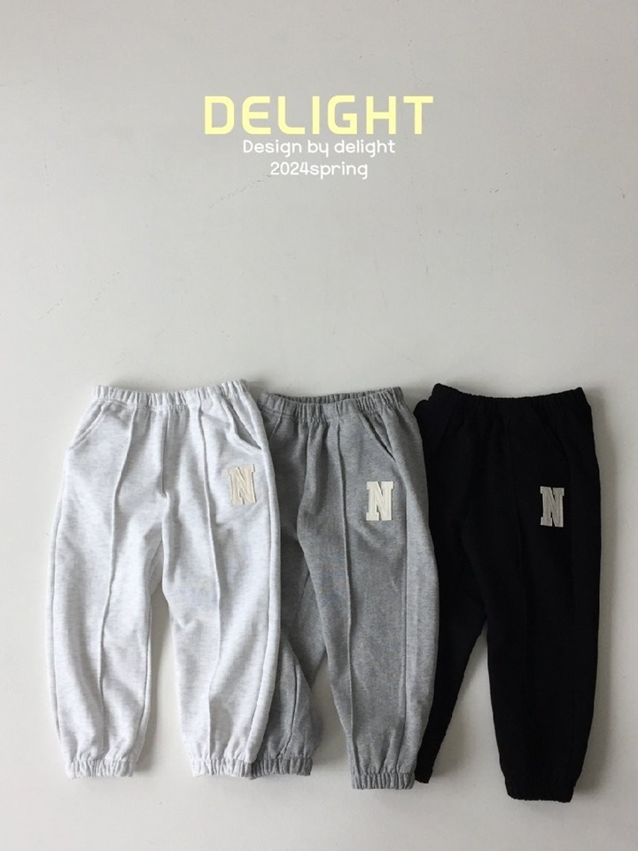N Embroidery Pintuck Pants