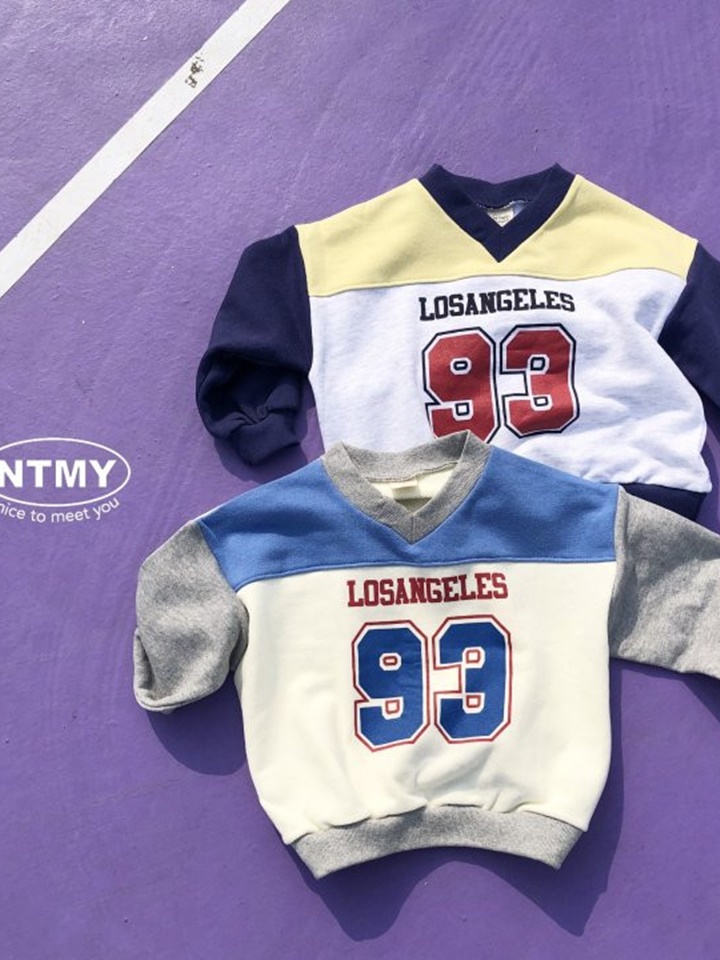93 Color Sweatshirt