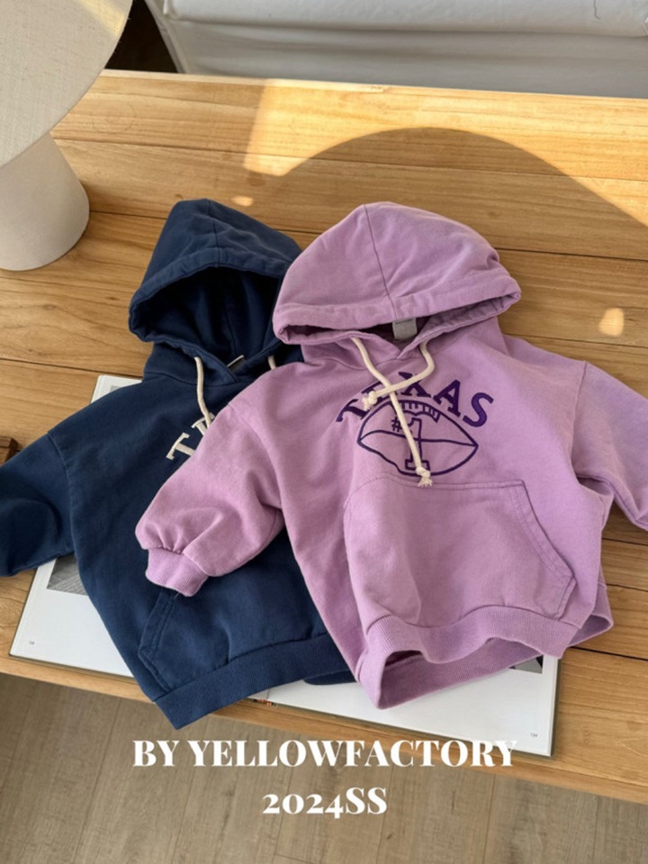 Texas Hoody Sweatshirt