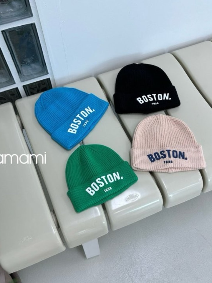 Boston Beanie