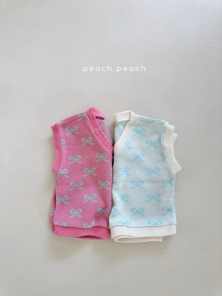 Ribbon Vest