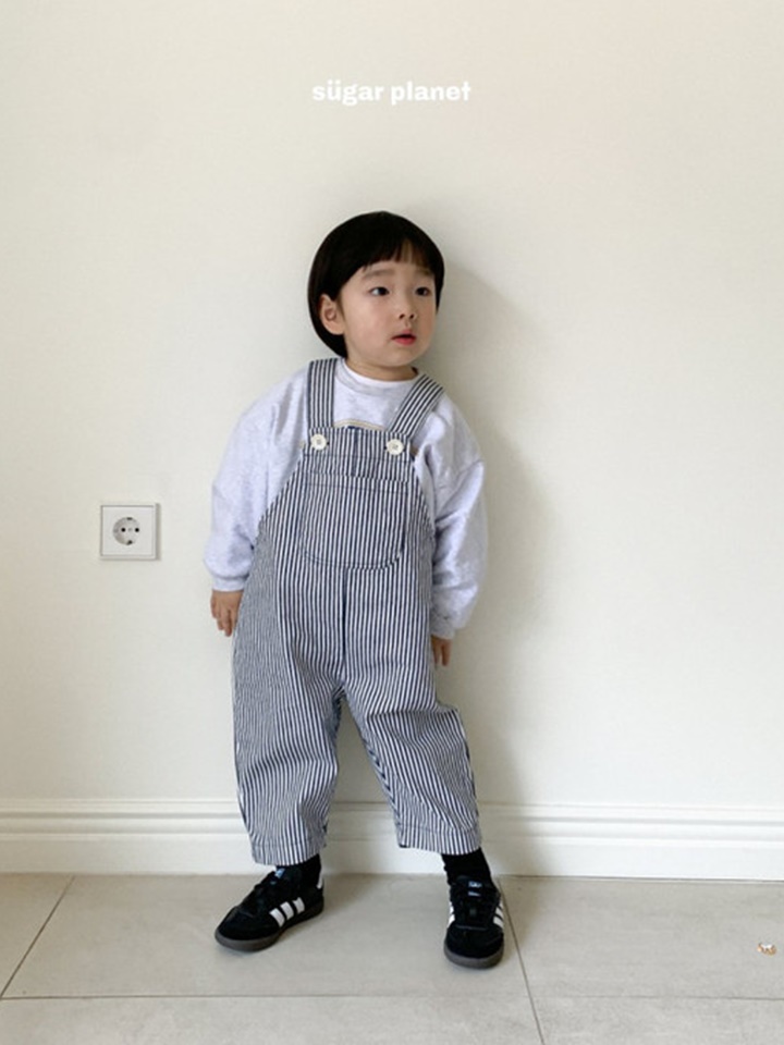 Wiley ST Denim Dungarees