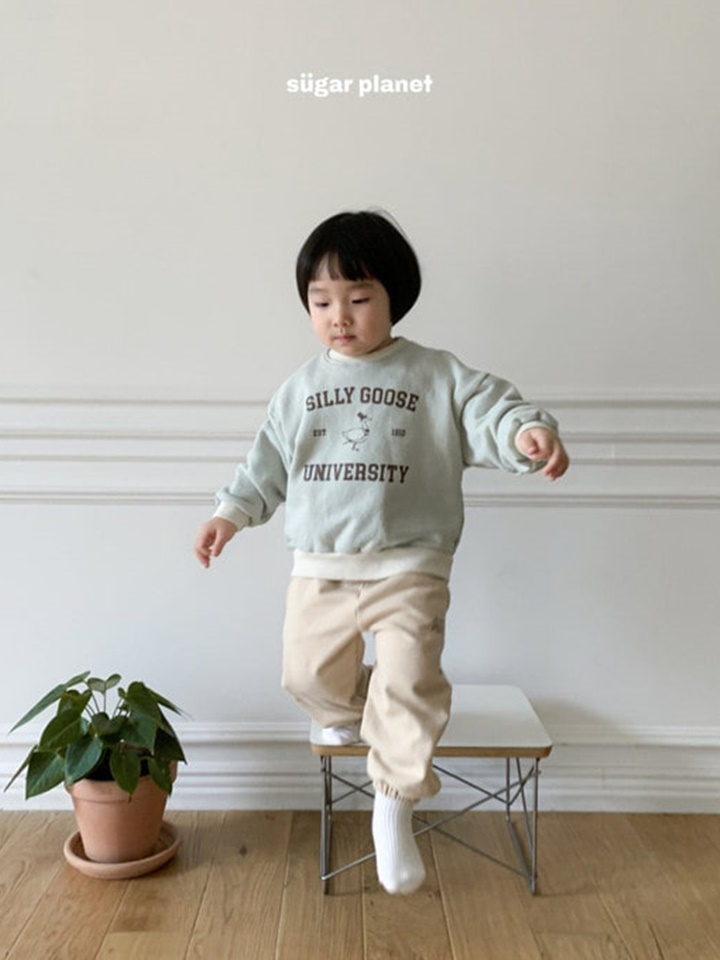 Seely Goose Sweatshirt