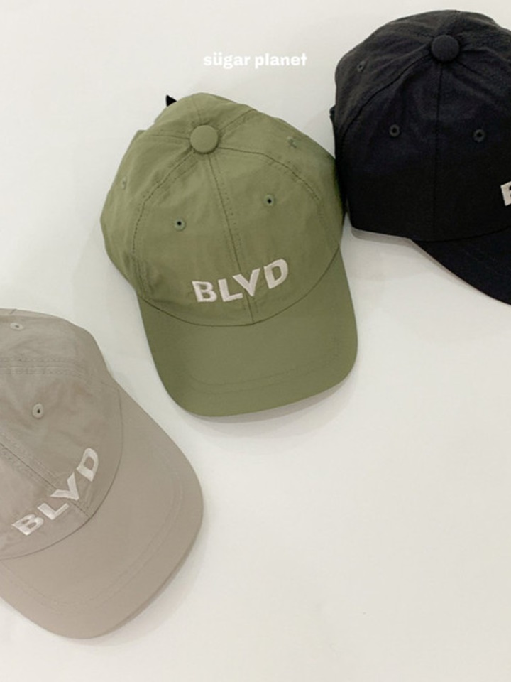 BLVD Camper Cap