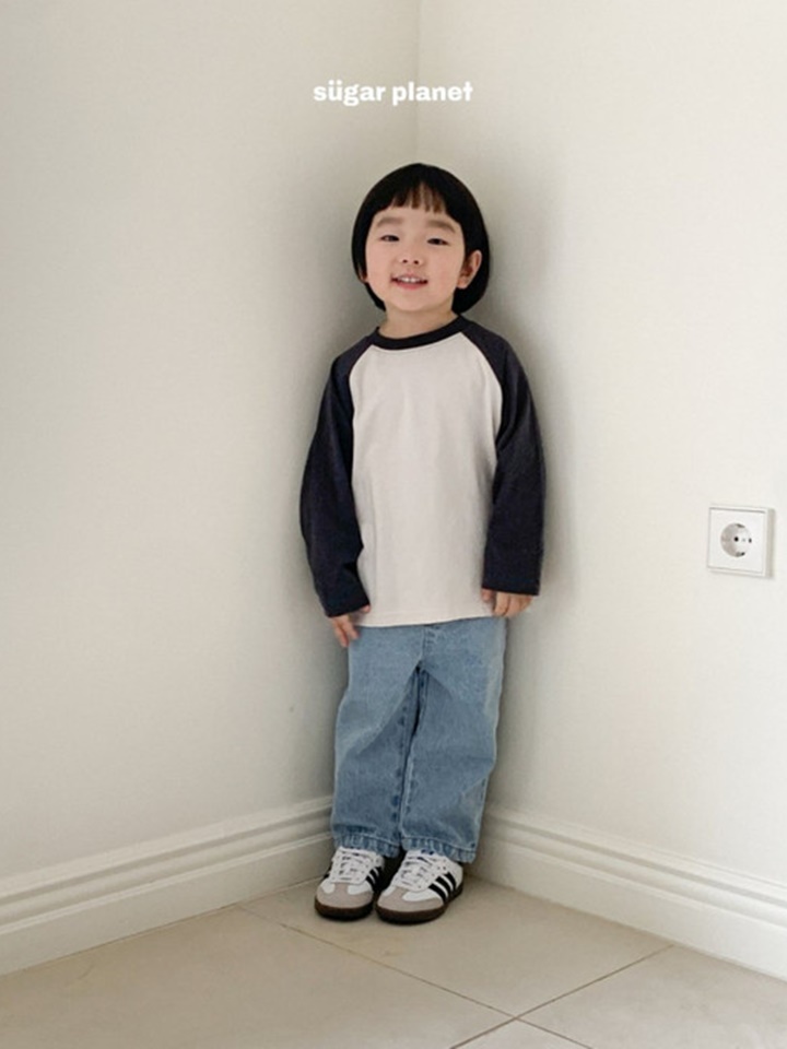 Punny Plan Raglan Tee