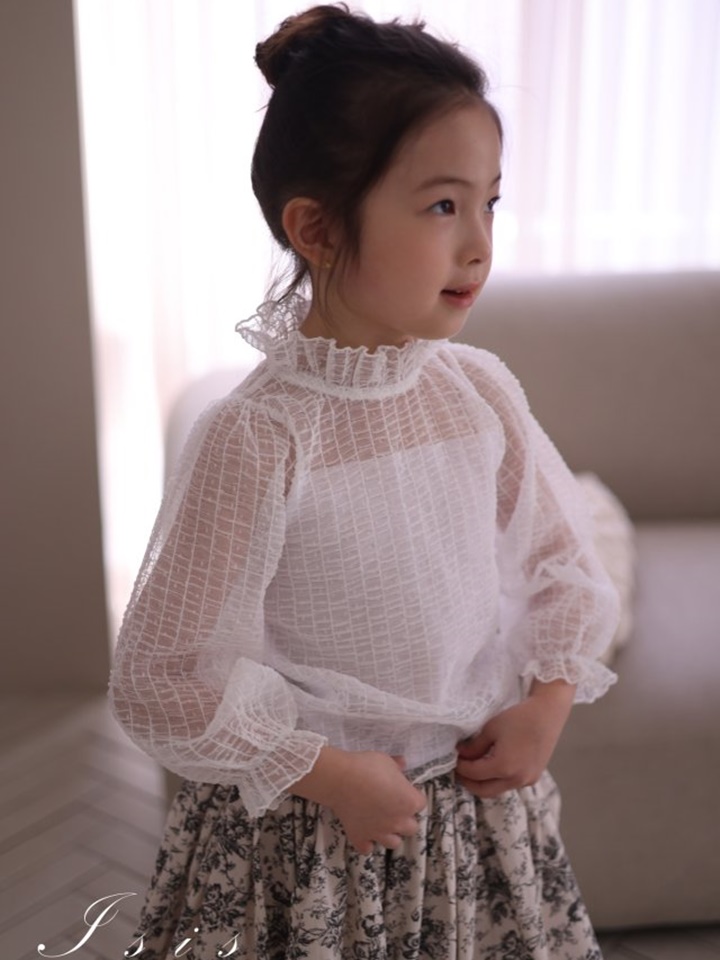 Vertical Mesh Blouse