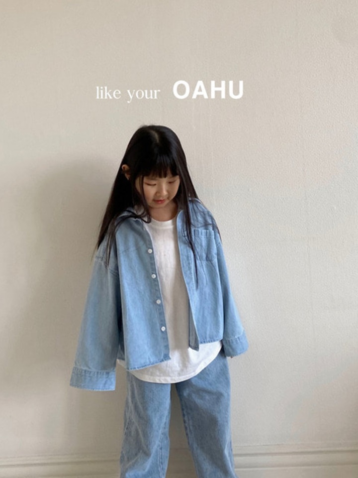 Curve Denim Shirt