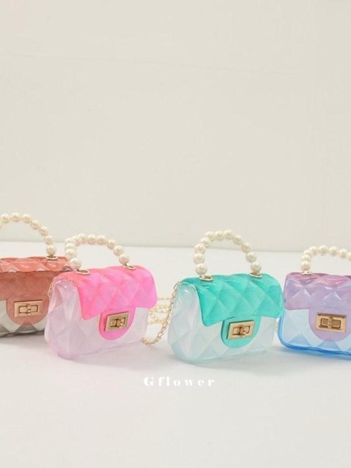 Transparent Bag