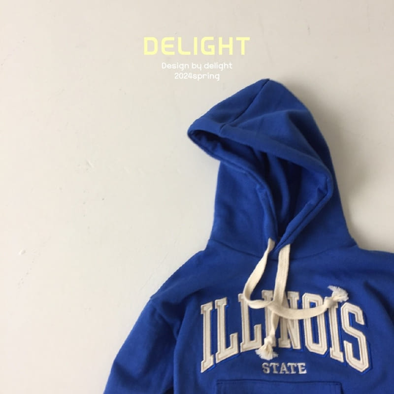 Delight - Korean Children Fashion - #stylishchildhood - Illinois Embroidery Hoody - 6
