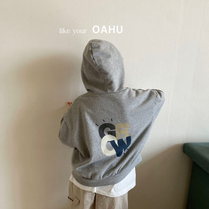 O'Ahu - Korean Children Fashion - #childofig - Grow Hoody Zip Up