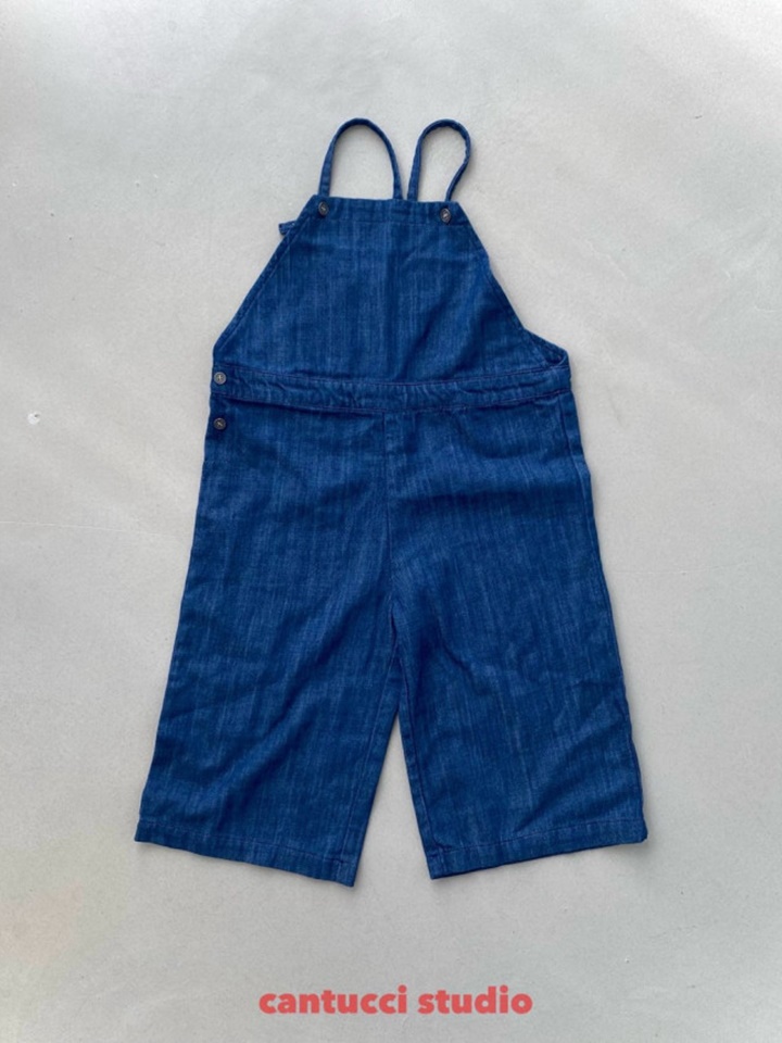 Loki Denim Overalls