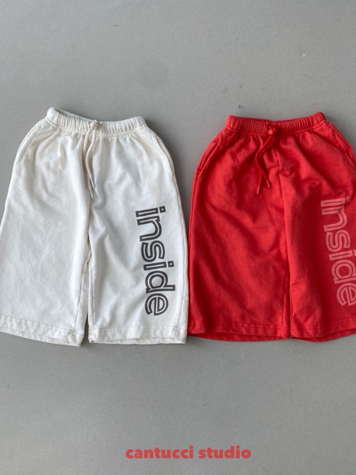 Inside Wide Pants