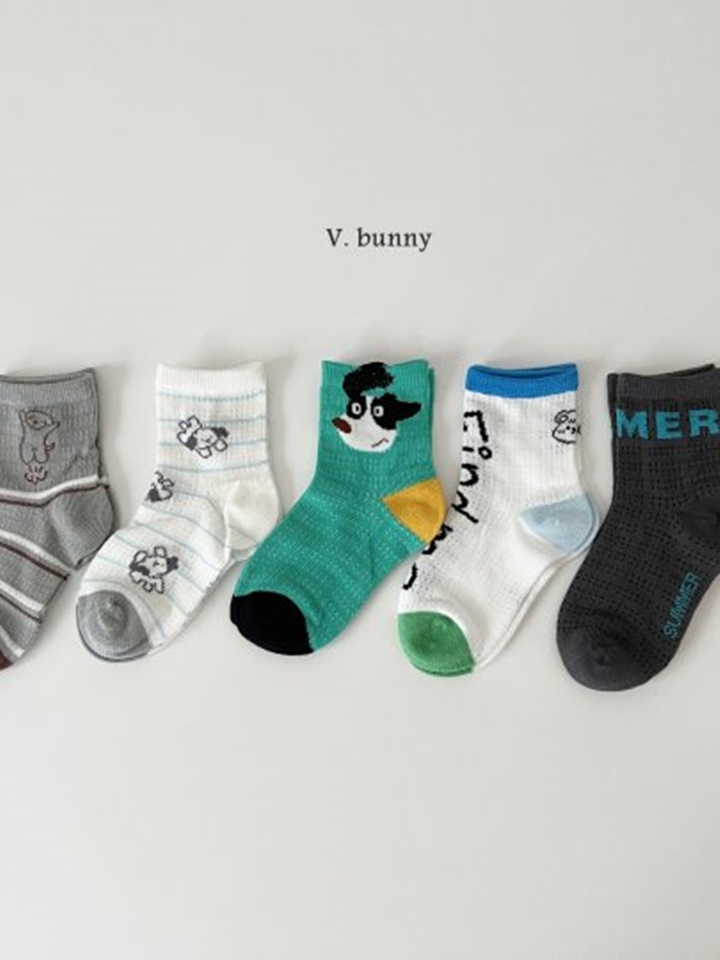 Summer Socks Set