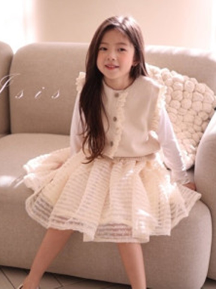 Horizontal Mesh Skirt