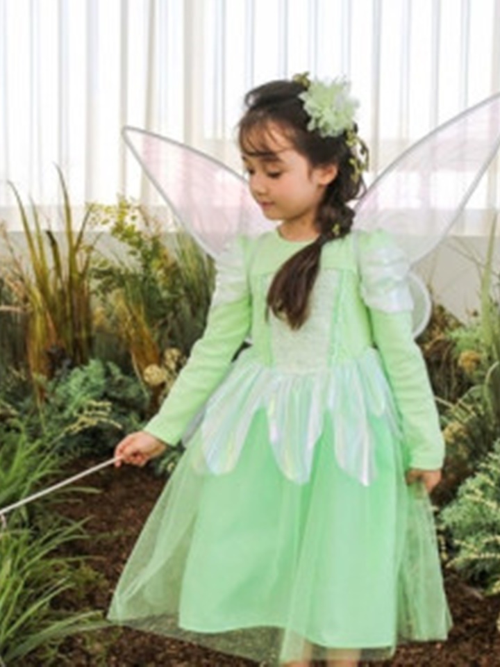 Fairy Wing