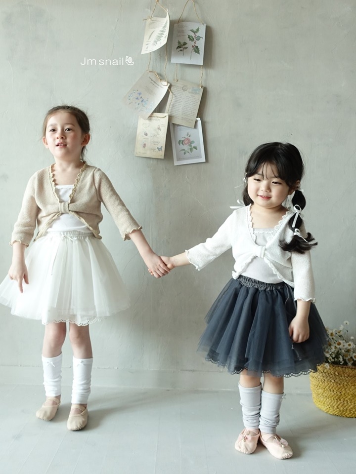 Flare Ballet Core Mesh Skirt