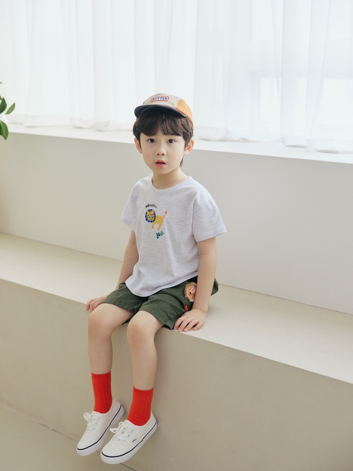 Lion Paint Tee