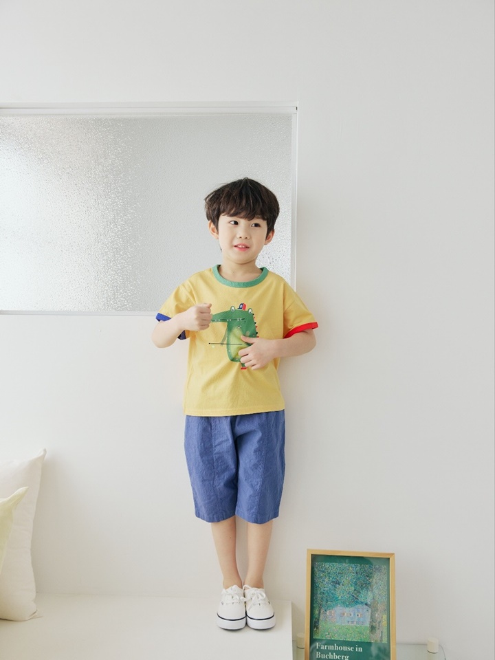 Span Baggy Cropped Shorts