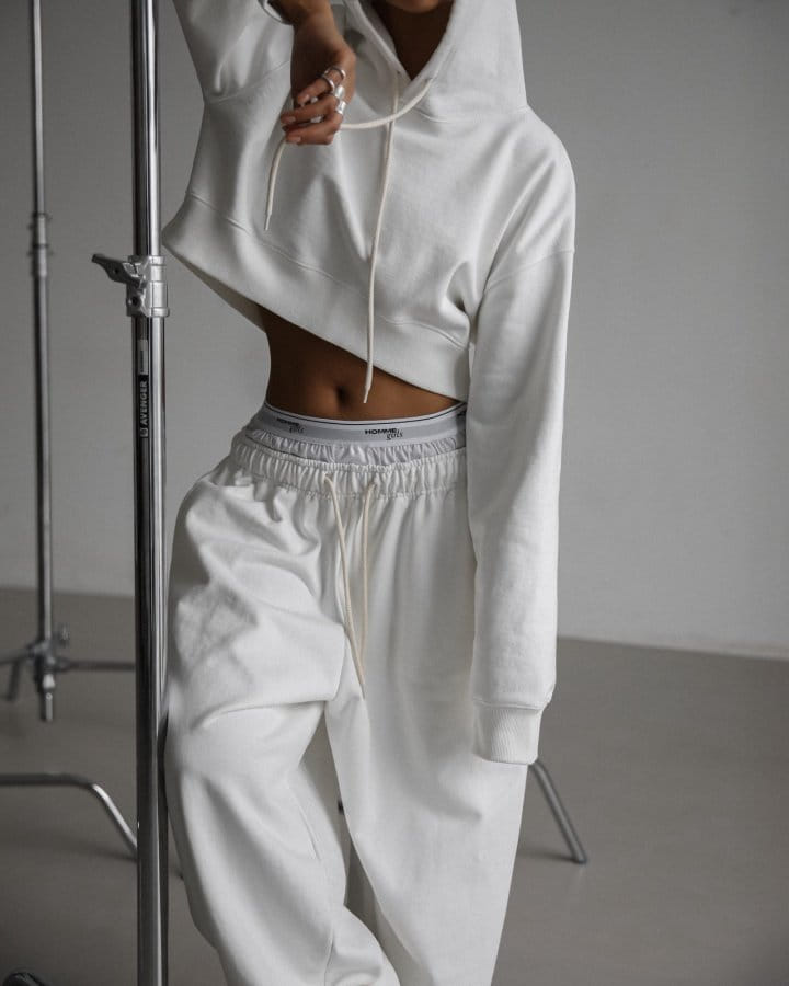 Paper Moon - Korean Women Fashion - #shopsmall - Round Hem Detail Cropped Hoodie  - 4