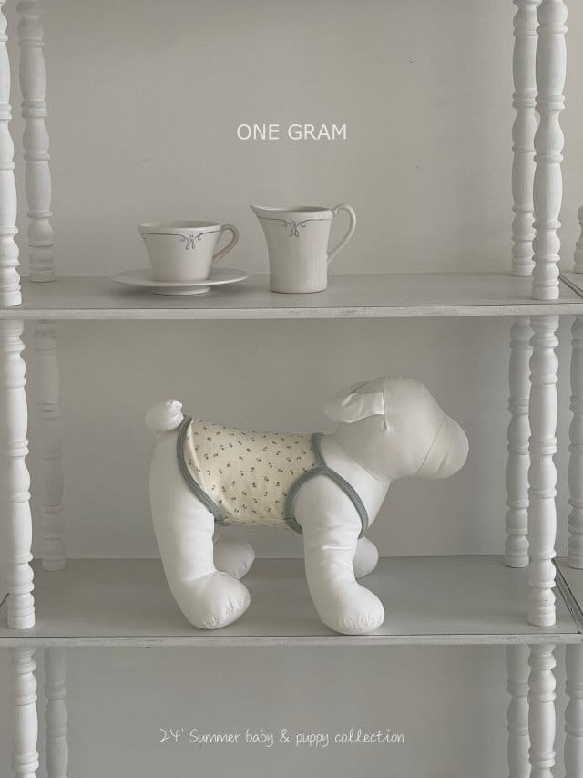 1 Gram - Korean Baby Fashion - #babyfashion - Denny Dog Suit - 6