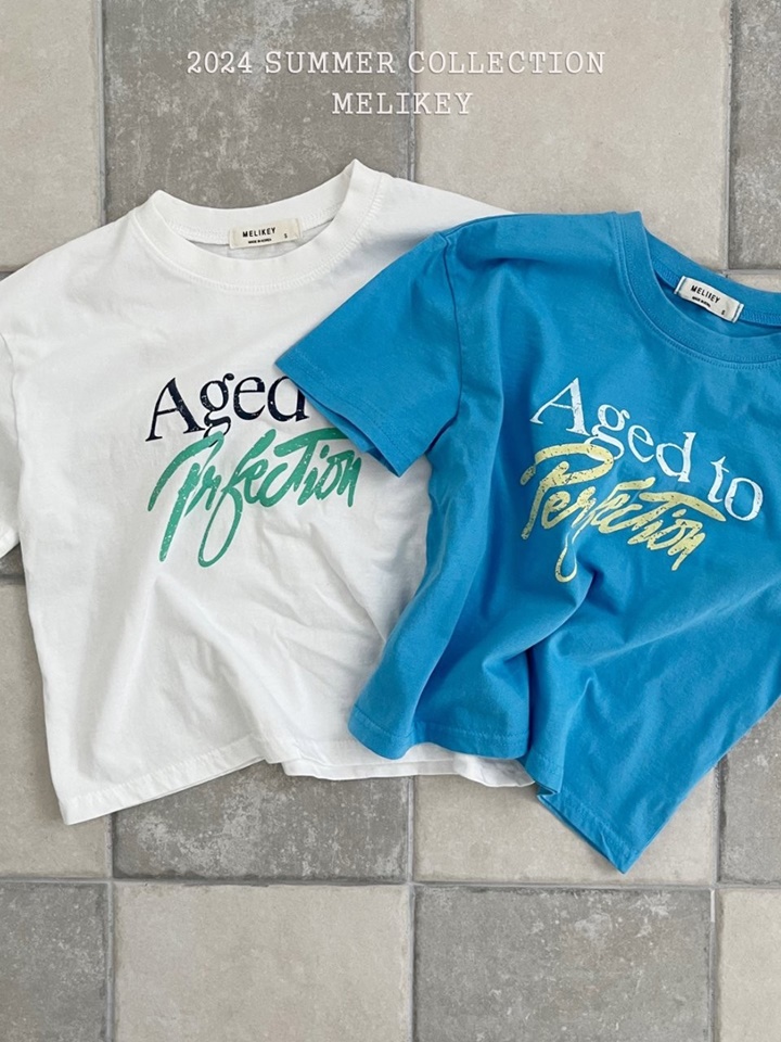 Perfection Tee