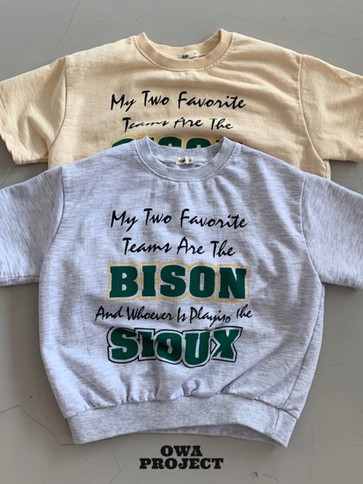 Bison Sweatshirt