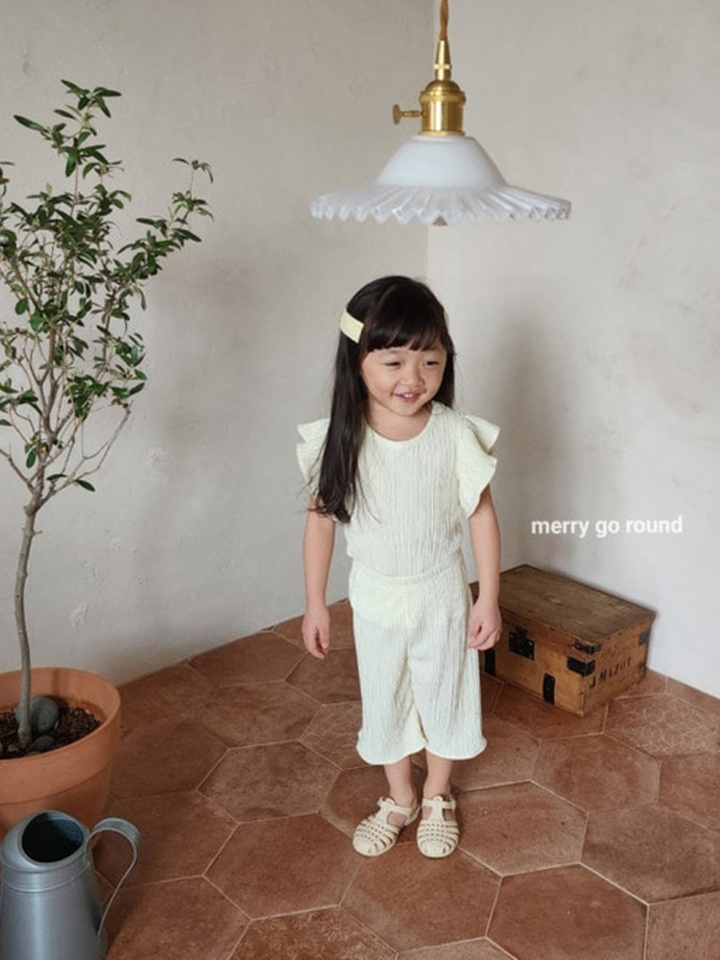 Shine Pleats Top Bottom Set