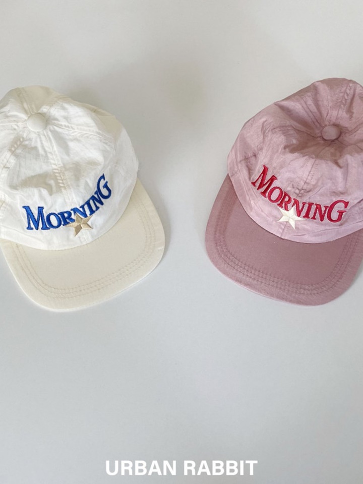 Morning Snapback